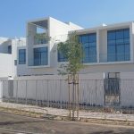 Projects opal (3)